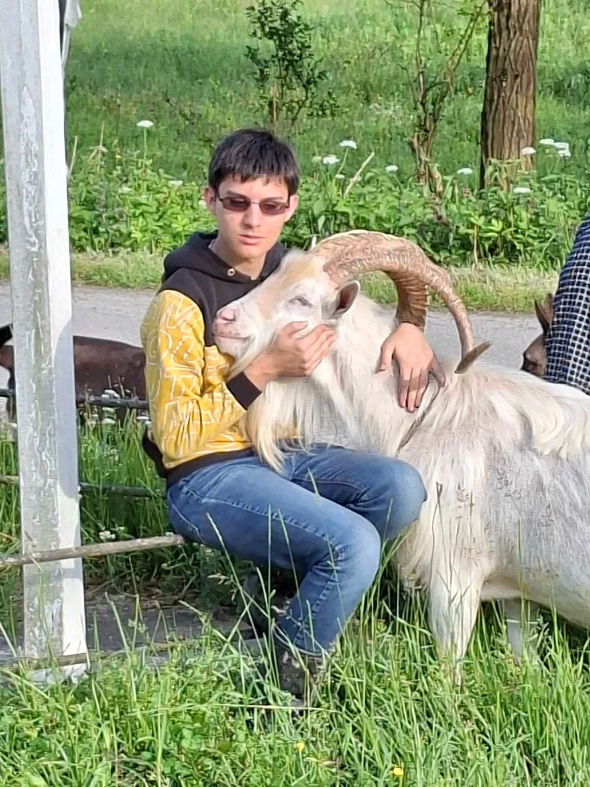 Obiteljski OPG s ljubavlju prema Baniji